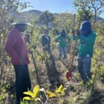 Projeto BIOCA: equipe técnica da Agrobio inicia coleta de amostras de solo em áreas onde serão implantados os SAFs