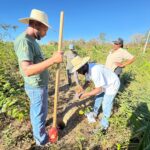 Coleta de solo avança em comunidades que receberão SAFs em Monte Alegre de Goiás