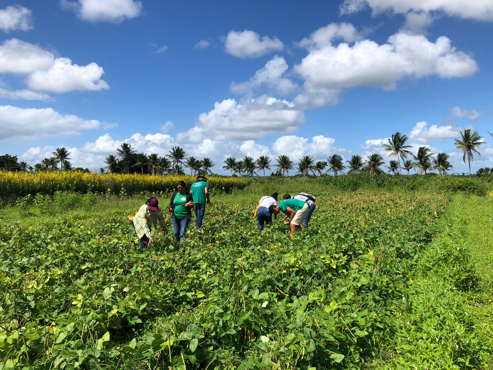 WhatsApp Image 2025-06-30 at 13.58.08