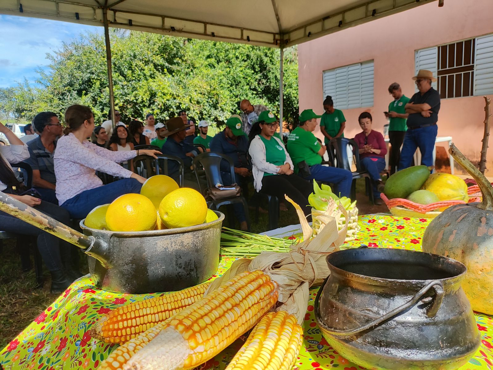 WhatsApp Image 2025-06-30 at 15.31.02 (1)