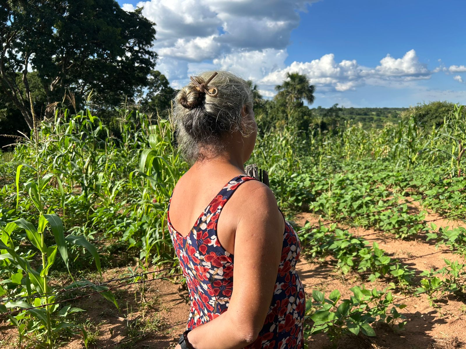 WhatsApp Image 2025-06-30 at 15.31.02