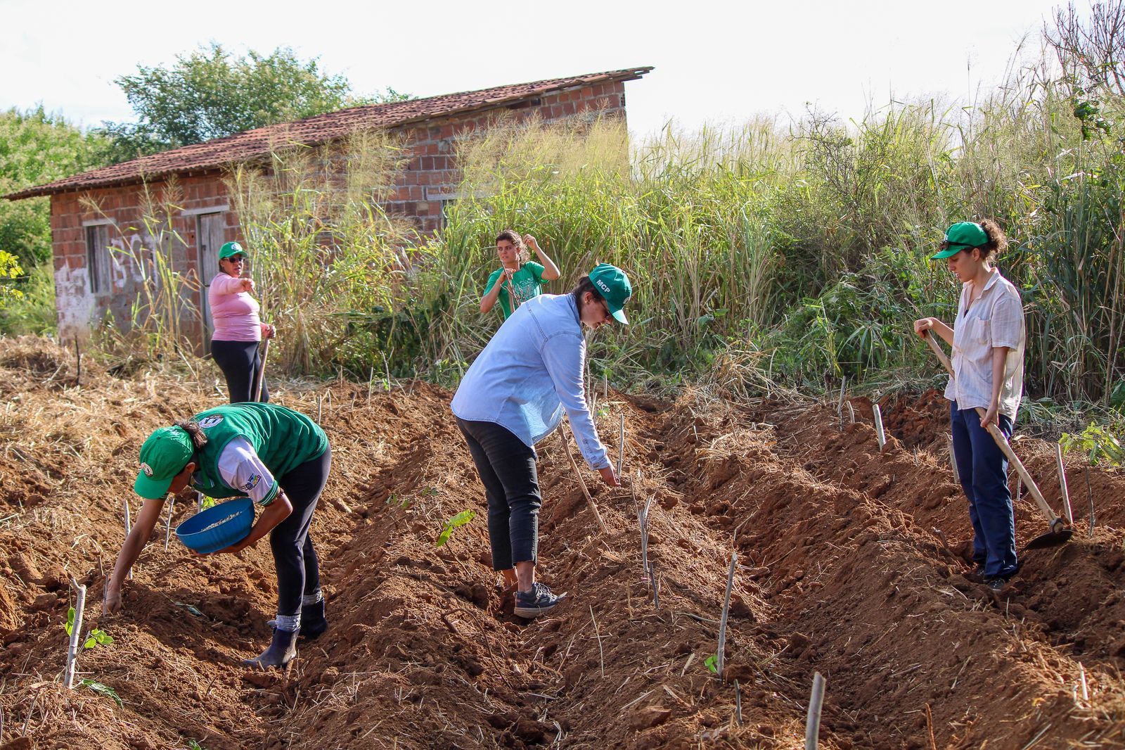 WhatsApp Image 2025-06-30 at 15.38.15