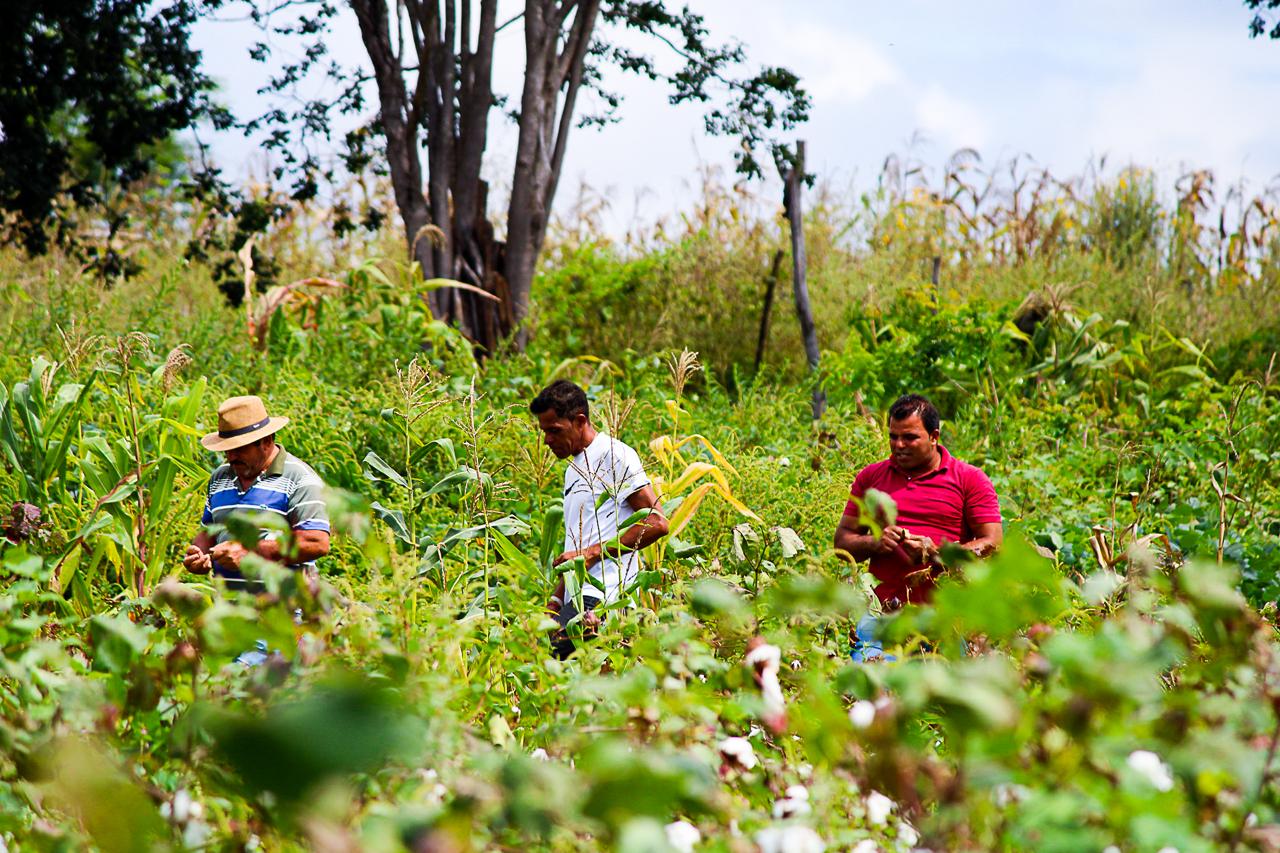 WhatsApp Image 2025-06-30 at 15.38.32