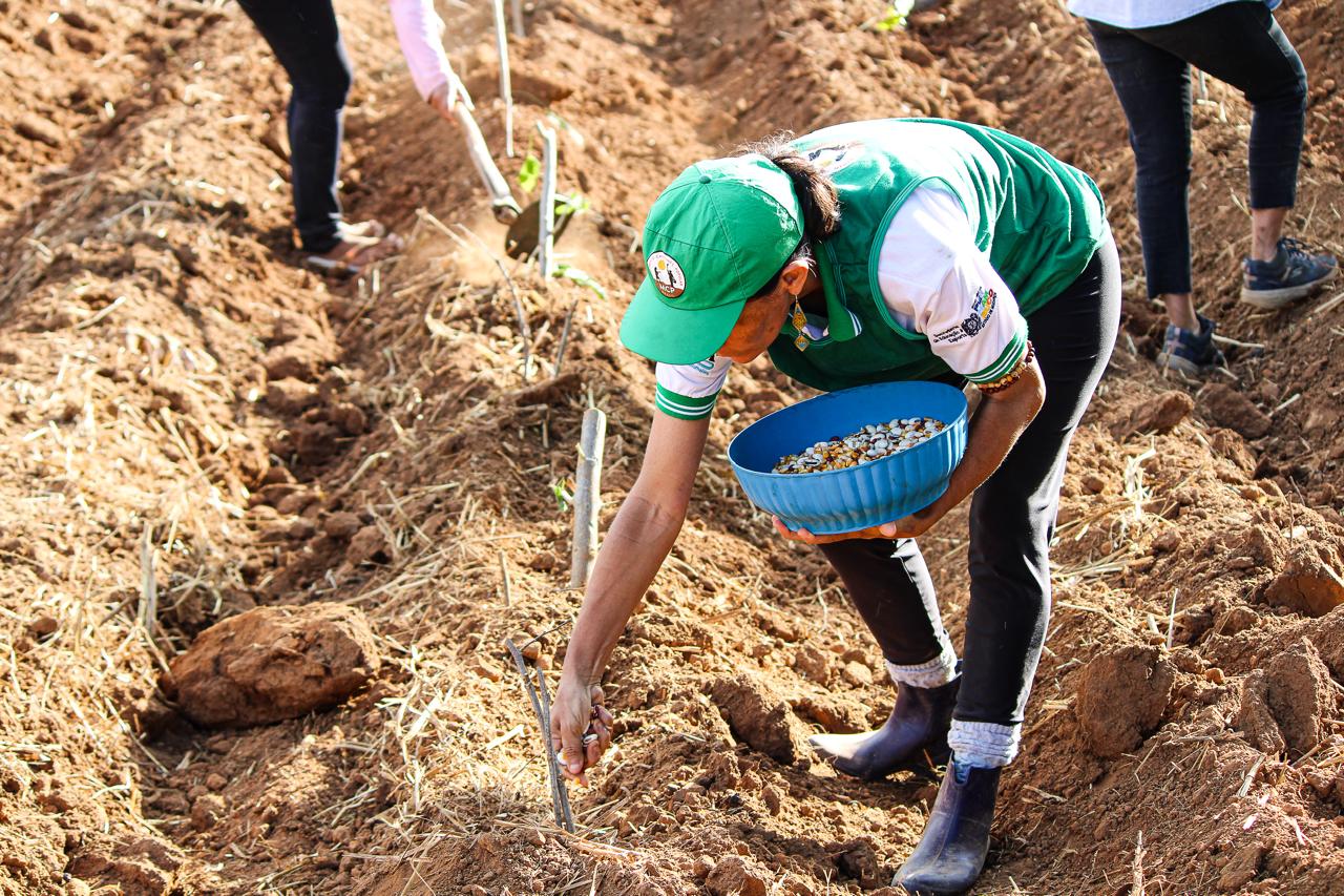 WhatsApp Image 2025-06-30 at 17.27.32