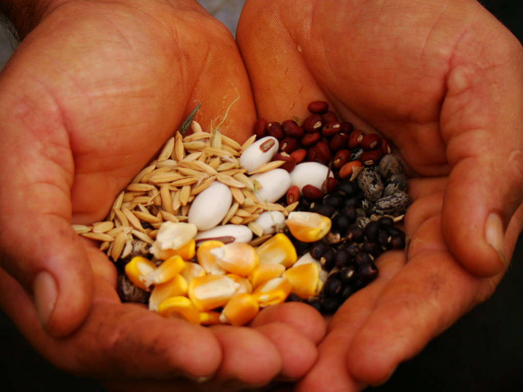 10158848955_f548a9335a_b