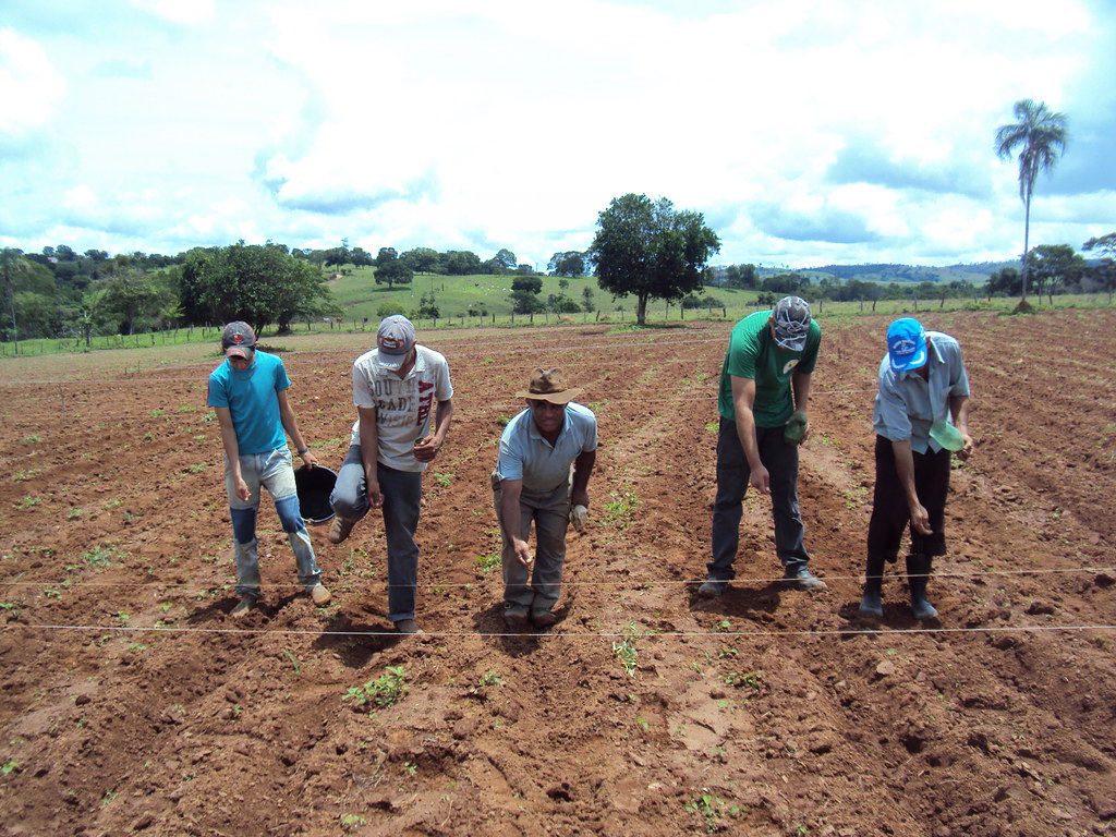 10207386364_ac1596d8d4_b