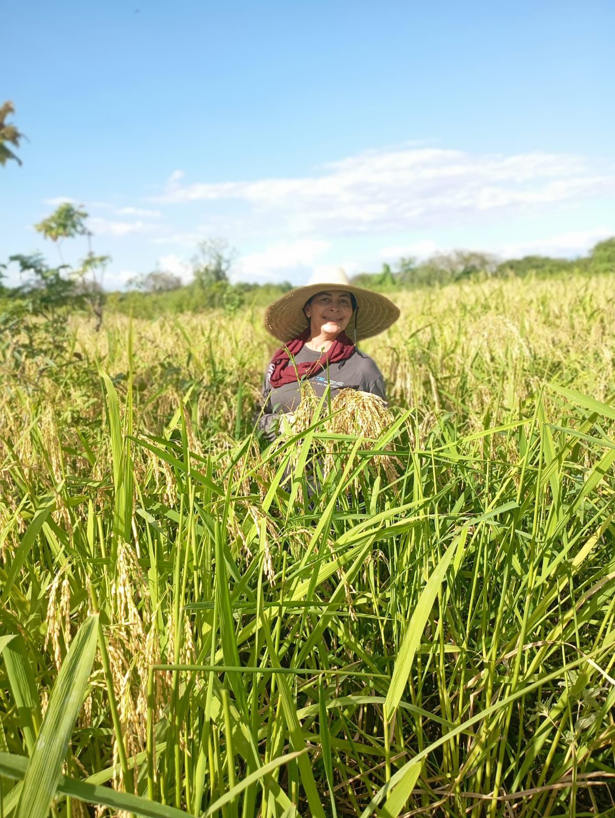 WhatsApp Image 2025-07-01 at 11.46.40