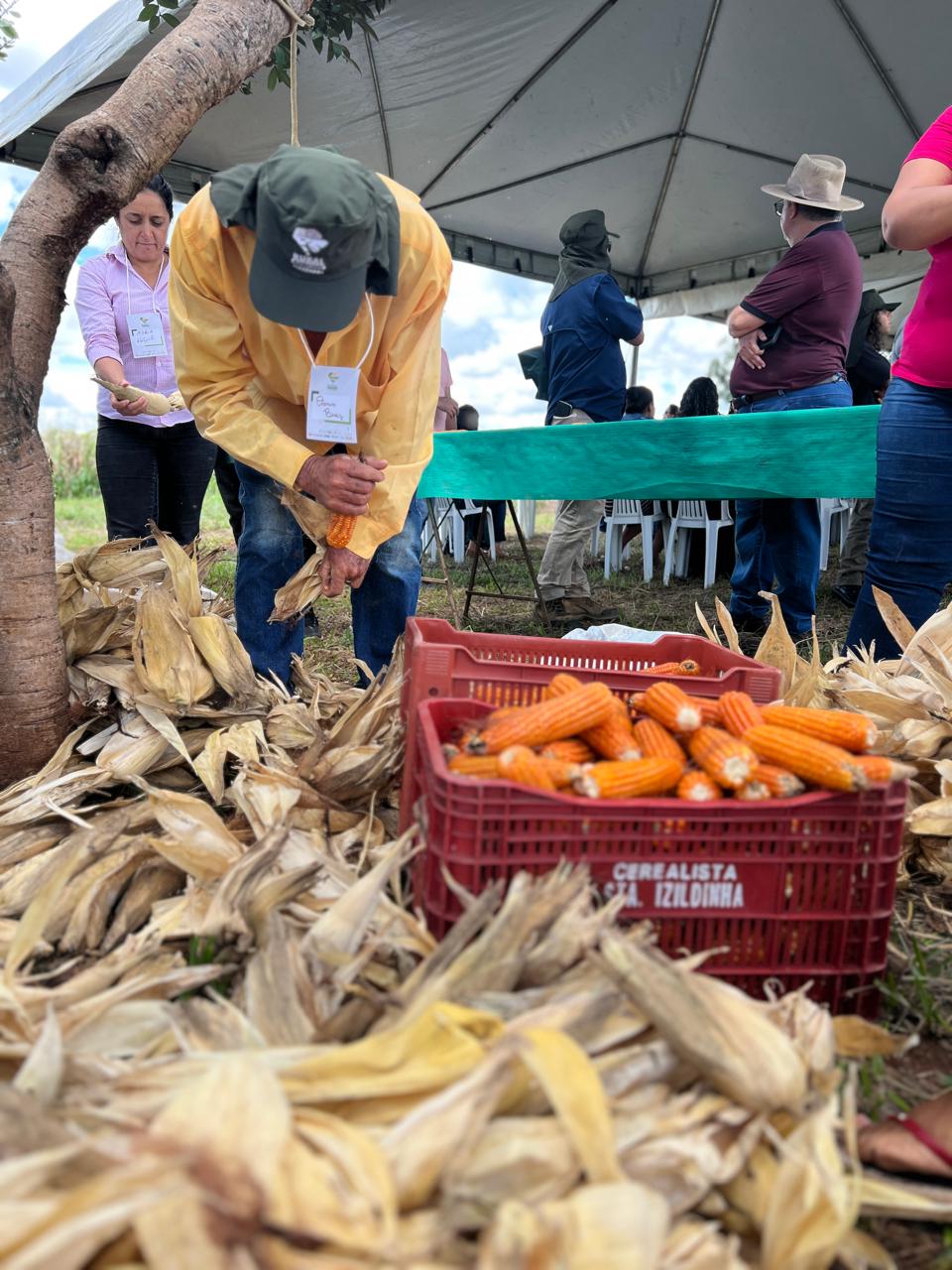 WhatsApp Image 2025-07-01 at 12.18.08 (1)