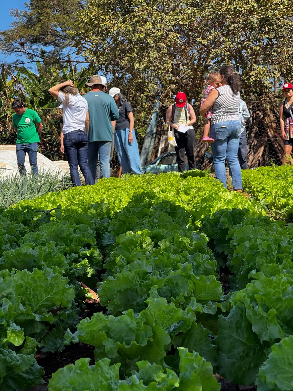 WhatsApp Image 2025-07-01 at 12.18.08