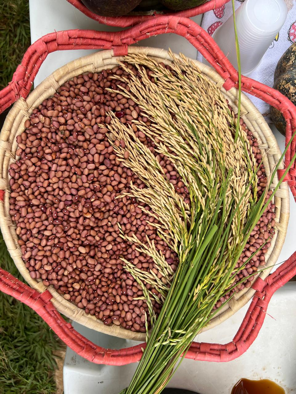 WhatsApp Image 2025-07-01 at 12.18.10