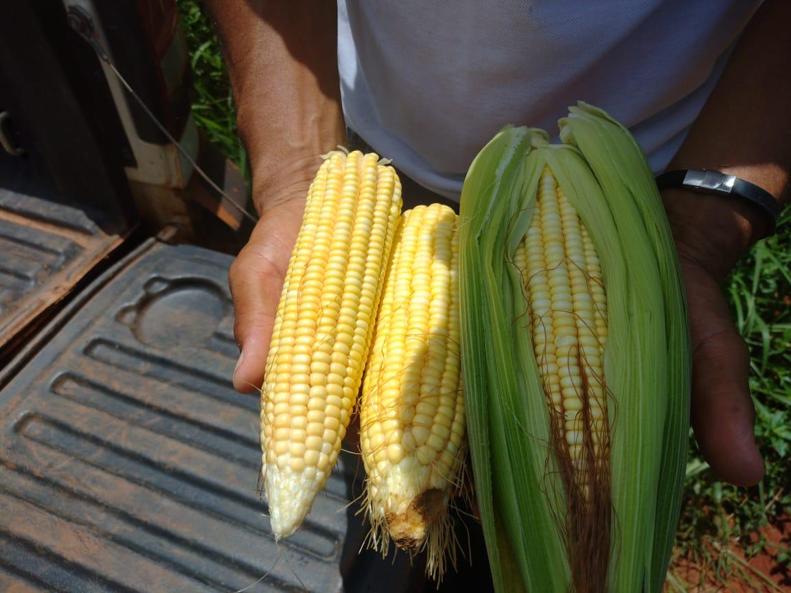 WhatsApp Image 2025-07-01 at 12.18.12 (1)