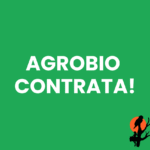 Projeto Bioca busca coordenador de campo para ações de restauração