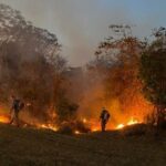 Queimadas avançam em Goiás e ameaçam cidades estratégicas do Cerrado
