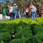 Agroecologia: caminho para a sustentabilidade e a restauração do Cerrado