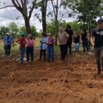 Rede Sementes da Vida avança com implantação de 13 corredores agroecológicos em Goiás