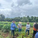 Corredor agroecológico em Catalão destaca papel dos guardiões de sementes