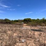 Projeto Rede Sementes da Vida recebe veículo para fortalecer ações agroecológicas em Pernambuco e Paraíba