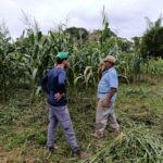 Assistência técnica agroecológica impulsiona produção de alimentos saudáveis em Minas Gerais