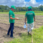 Corredores agroecológicos ganham força no Pará com protagonismo da Rede Sementes da Vida
