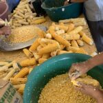 Pamonhada do Milho Crioulo celebra agricultura familiar no Nordeste Goiano 
