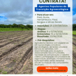 ANAPAMAV lança TdR para contratação de Agentes Populares de Transição Agroecológica em seis estados