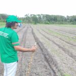 ANAPAMAV lança TdR para contratação de Agentes de Transição Agroecológica em seis estados