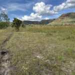 Equipe do Bioca realiza mapeamento para proteção de nascentes em Guarani de Goiás