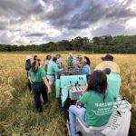 Rede Sementes da Vida promove intercâmbio sobre tecnologias sociais, agroecologia e sementes crioulas no Pará